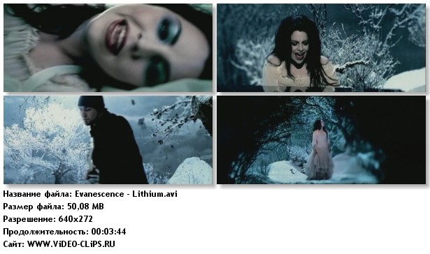 1199667161_evanescence-lithium.jpg