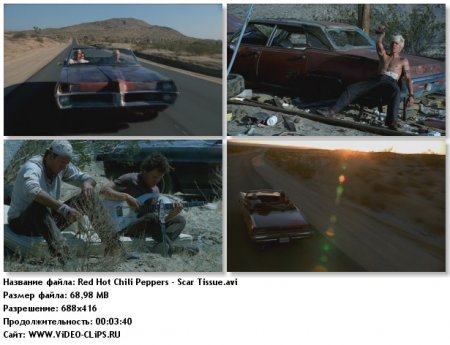 Red Hot Chili Peppers - Scar Tissue