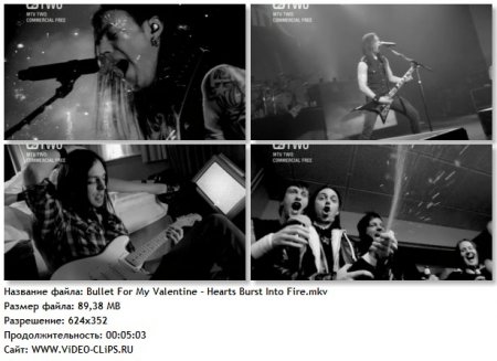 Bullet For My Valentine - Hearts Burst Into Fire