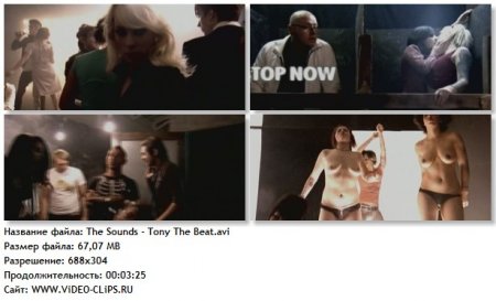 The Sounds - Tony The Beat