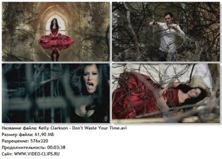 Kelly Clarkson - Don't Waste Your Time