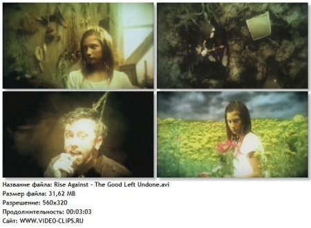 Rise Against - The Good Left Undone