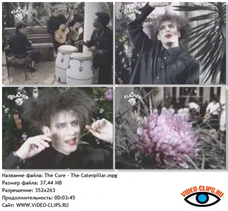 The Cure - The Caterpillar