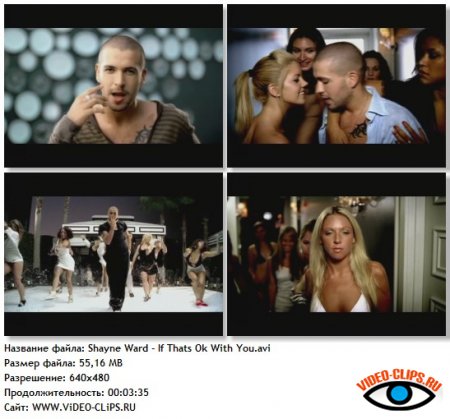 Shayne Ward - If That's Ok With You