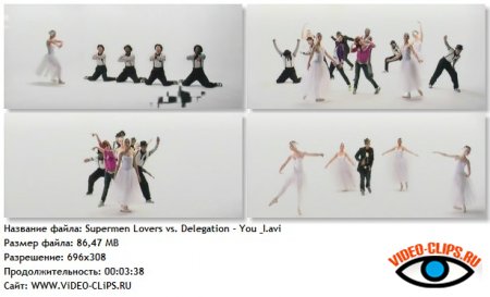 Supermen Lovers vs. Delegation - You & I