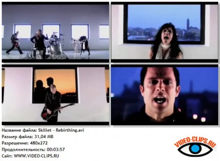 Skillet - Rebirthing