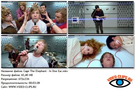 Cage The Elephant - In One Ear