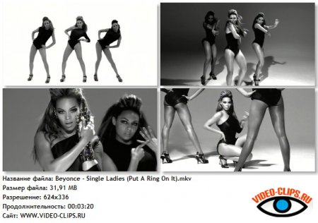 Beyonce - Single Ladies (Put A Ring On It)