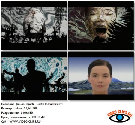 Bjork - Earth Intruders