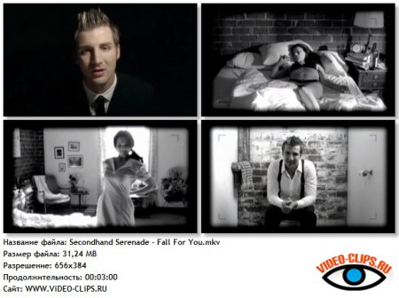 Secondhand Serenade - Fall For You