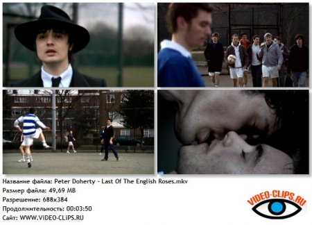 Peter Doherty - Last Of The English Roses