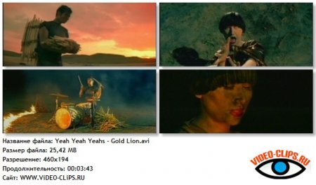 Yeah Yeah Yeahs - Gold Lion