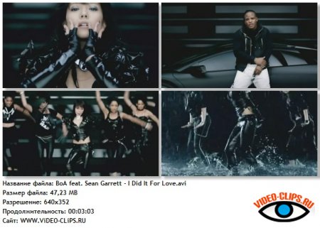 BoA feat. Sean Garrett - I Did It For Love