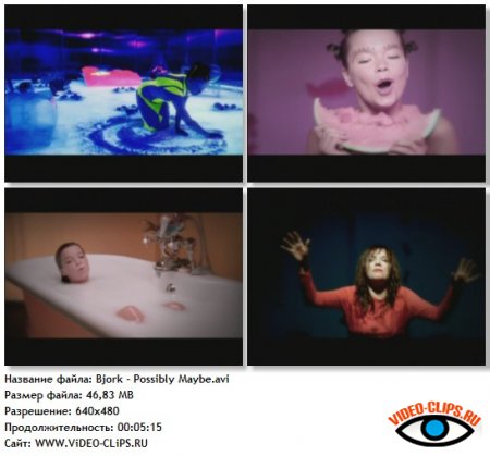 Bjork - Possibly Maybe