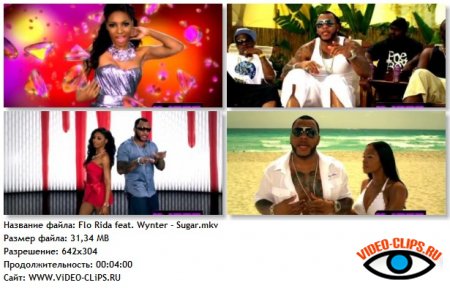 Flo Rida feat. Wynter Gordon - Sugar