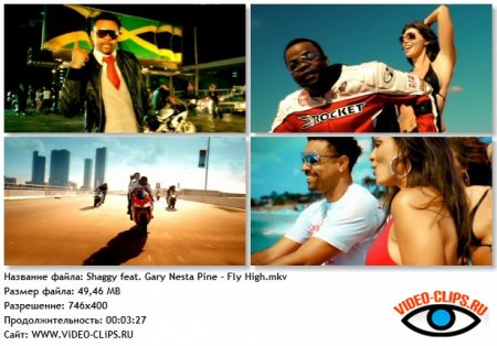 Shaggy feat. Gary Pine - Fly High