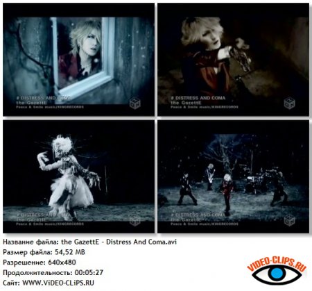 the GazettE - Distress And Coma