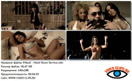 Pitbull - Hotel Room Service