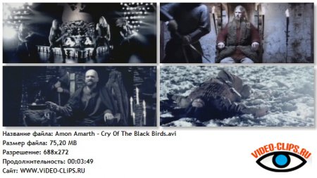 Amon Amarth - Cry Of The Black Birds